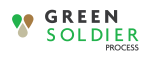 logo Green Soldier