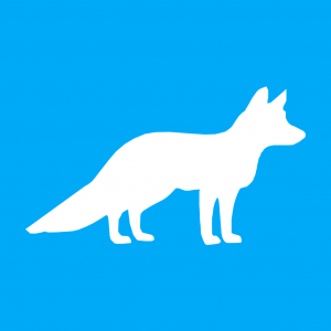 logo Cleanfox