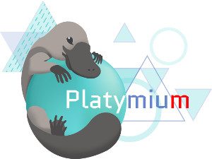 Logo de la startup Platymium