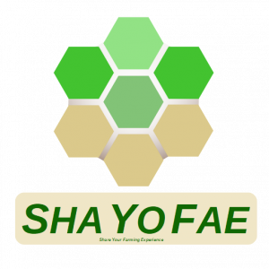 Logo de la startup ShaYoFae